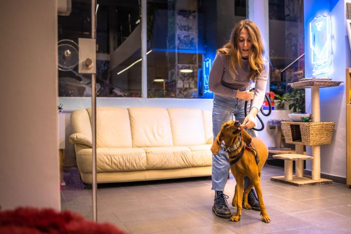 Μουσούδα Pet Shop Εξάρχεια Αθήνα Μπενάκη