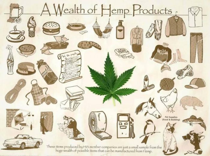 A Wealth of Hemp Products